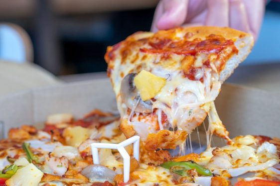 Pineapple on pizza: why some WordPress users face login restrictions for their opinions