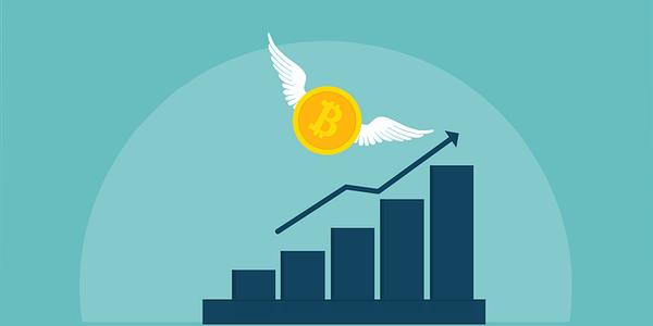 Trump Names Stephen Miran Chair of the Council of Economic Advisers Amid Growing Interest in Cryptocurrency