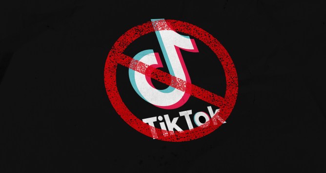 TikTok’s Ban in Other Countries May Signal Its Future in the United States