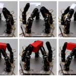 The Future Is Now: Revolutionary Innovation in Advanced Dexterous Robotics Streamlines Automation